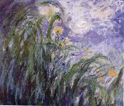 Claude Monet Yellow Irises china oil painting reproduction